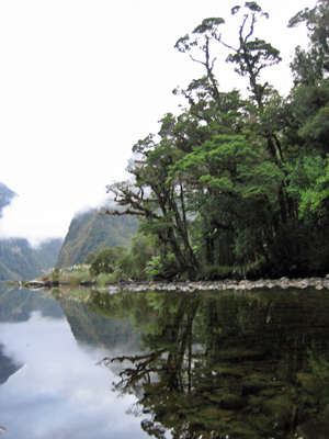 Doubtful Sound