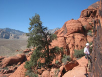 Climbing Red Rocks, Las Vegas, Nevada