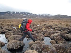 Hiking north of Saqqaq and from Rodebay to Ilulissat, Greenland