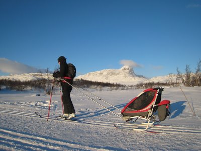 Chariot Baby Carrier on Chariot Cougar 1 Carrier Into A Sledge With Skis On