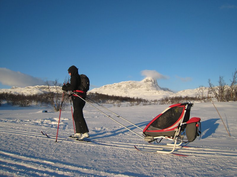 chariot ski kit used