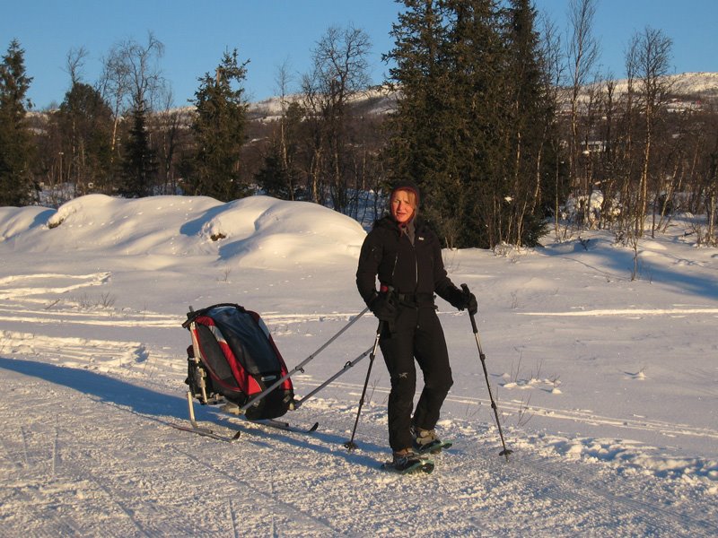 chariot cougar 1 ski kit